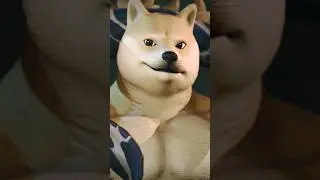 Doge is Katanainu. #game #dogecoin #ape #shiba #kata #katanainu #pepe #freefire #apex