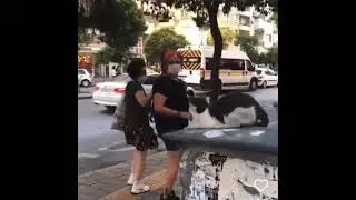 BJJ White Belts with 1/2 a Move Be Like lol 😅