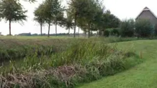 SAP Golfclinic QBC