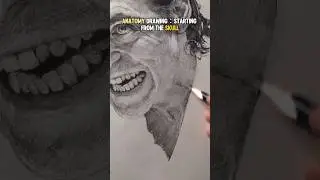 Realistic Anatomy Drawing: STARTING FROM THE SKULL#anatomy #art #sketch