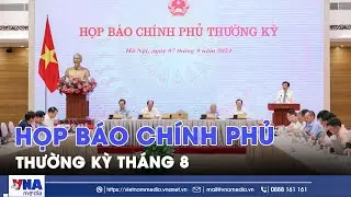 Họp b&aacute;o Ch&iacute;nh phủ thường kỳ th&aacute;ng 8 - VNAMedia