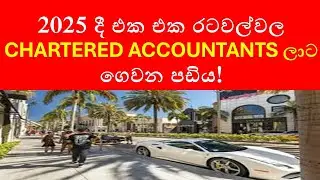ගණකාධිකාරී වෘත්තියේ ඉහළම වැටුප් ලබන රටවල් : Salaries of Chartered Accountants Worldwide in 2025