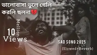 ভালোবাসা ভুলে গেলি কৰলি ছলনা || bengali song | Sad song 2025 | LO-FI Mashup song | @SMMusice | viral