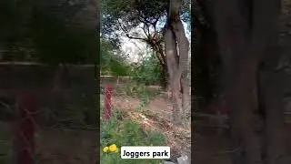 joggers park bathinda