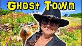 Caribou Ghost Town in the Rocky Mountains by Estes Park - Things To Do On a Colorado Road Trip