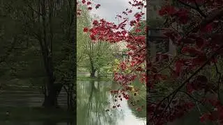 #besancon #france #bourgogne #doubs #bourgognefranchecomte #nature #calm #spring