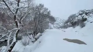 شتاء کردستان winter in kurdistan