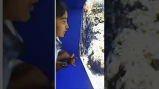 Fun + Fish = Best Day ! Adventures in Kuwait! #AquariumFun #Kuwait #ScientificCenter #FamilyReels
