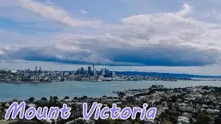 Vlog 11 - Mount Victoria and Devonport, Auckland, NZ#11