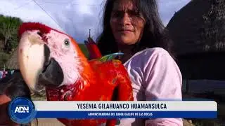 KOSÑIPATA, PUERTA A LA BIOSFERA DEL MANU