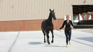 KUBERTHA - 2016 - Mare - Kannan X Namelus R - Clinique