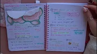 WEEKLY PLANNER SETUP & FLIP-THROUGH (SCHOOL PLANNER TECHNIQUE)