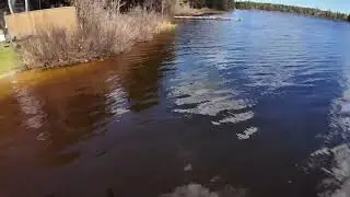 Louis point / rice lake / enchanted forest Big traverse bay