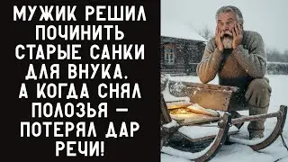 СТАРИК РЕШИЛ ПОЧИНИТЬ СТАРЫЕ САНИ ДЛЯ ВНУКА, А КОГДА СНЯЛ ПОЛОЗЬЯ — ПОТЕРЯЛ ДАР РЕЧИ!