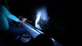 Night Fishing for BIG BASS