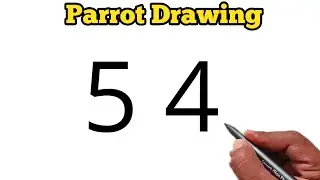 Water Drinking Parrot Drawing with number 54 | number drawing