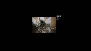 ROAM0120.exe : ambiance immersive sans gameplay ni facecam #roam0120 #feldup @michkamgr