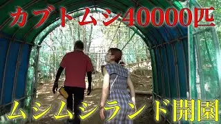 カブトムシ40000匹の行方とは...衝撃すぎる展示に興奮