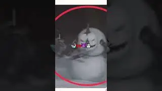 Whaleadon vs evil snowman.who do you think will won