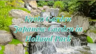 Kyoto Garden l A Free,Traquil Japanese Garden in Holland Park