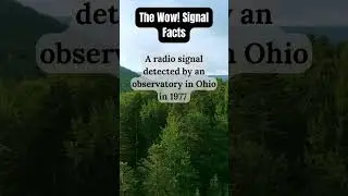 The wow ! Signal #facts