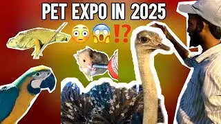 ⁉️🐇Pets expo 2025 Texvalley😱🔥 (கண்காட்சி) 😻