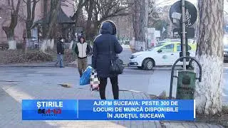 AJOFM Suceava: Peste 300 de locuri de muncă disponibile &icirc;n județul Suceava
