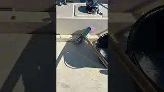 Akba Hull Cleaner | Uygulama Sonu&ccedil;ları