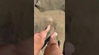 Quick sand like sand beaches in Brazil