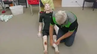 snake bite first aid hervey bay first aid