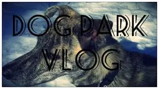DOG PARK VLOG!!
