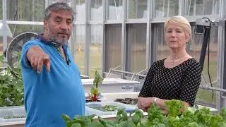 CAUSES: Aquaponics & Hydroponics Research