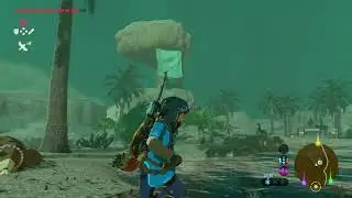 The Legend of Zelda - Breath of the Wild #106