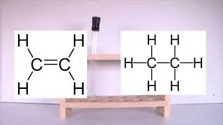 HYDROCARBON LAB#8