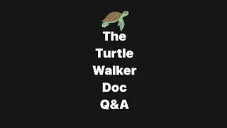 The Turtle Walker Doc Q&A w/Taira Malaney,Krish Makhija,Jill Ferguson,Mohit Arora & Natalie Cash NYC