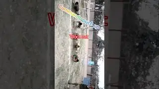 push up work out #reels #shorts #viral #love #funny #trending #short #song #comedy #shortvideo #army