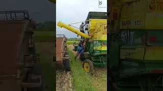 Paddy Harvesting at Kollimalai Saral Agro Foods | Traditional Tamil Nadu Farming