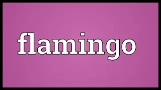 Flamingo Meaning