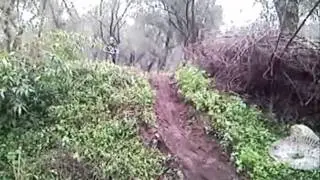 mtb taurianova