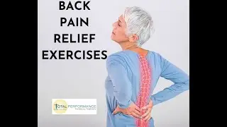 Top 3 back pain relief exercises  | Total Performance Physical Therapy | 215.997.9898