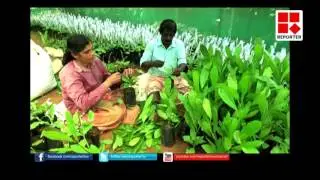 Mango Festival in Kasargode Padannakkad Karshika College