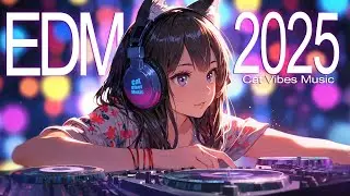 🎧 EDM Party After Dark | Feel the Drop 2025 🔥