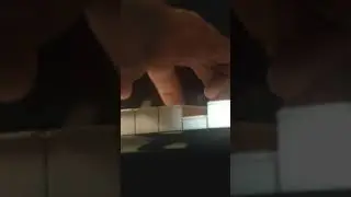 Natural Light, performance live