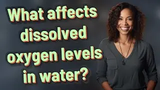 What affects dissolved oxygen levels in water?