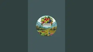 Kasheer - Harvest From Heaven is live