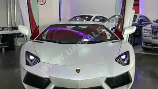 Lamborghini Aventador LP 700-4 for sale on www.uaesale.com