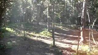 Canyon Campground at Yellowstone National Park Review