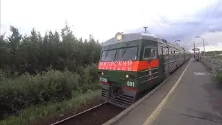 441) 