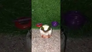 wow 😮 gys love papad fry 😜#shorts #shortvideo #shortsfeed #cooking #tranding