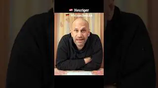 Beim Heurigen in Wien 1 #comedy #wienerisch #vienna #wein